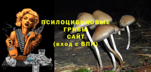 СК Аркадак