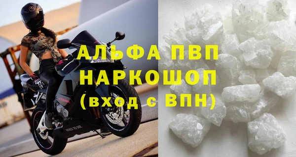 СК Аркадак