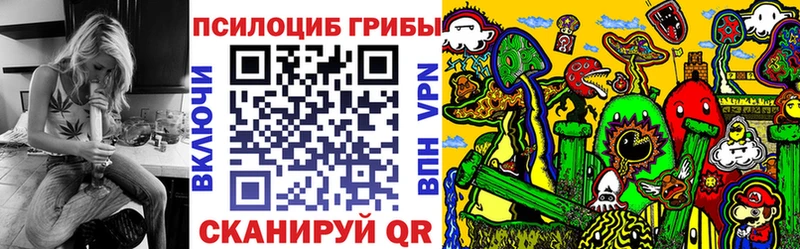 гидра tor  как найти закладки  Малгобек  Галлюциногенные грибы Psilocybine cubensis 